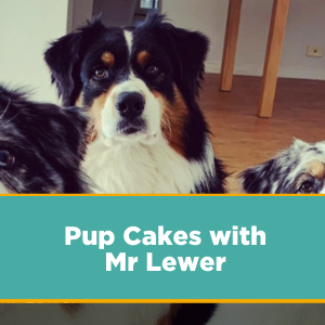 Pupcakes with Mr Lewer at CCGS
